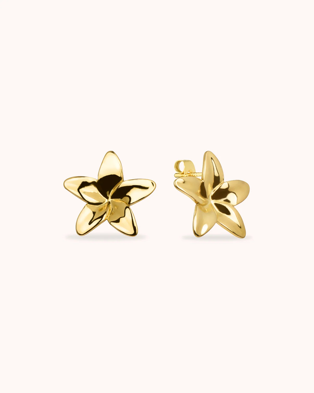 New In Earrings