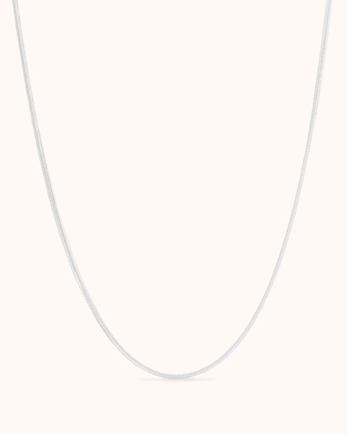 Snake Chain Necklace in Silver